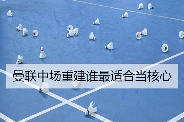 曼联中场重建谁最适合当核心