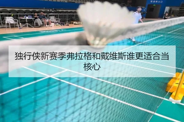独行侠新赛季弗拉格和戴维斯谁更适合当核心