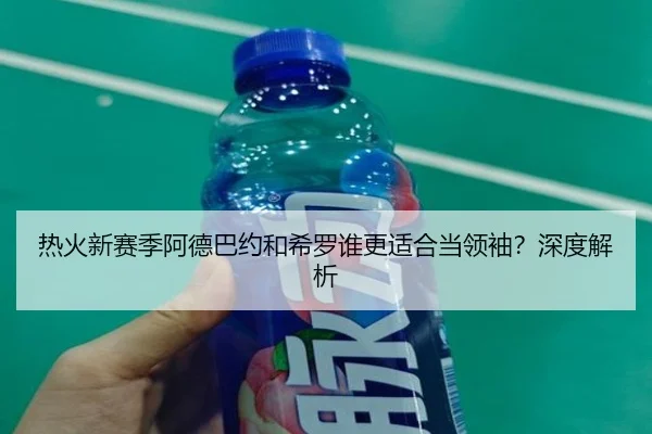 热火新赛季阿德巴约和希罗谁更适合当领袖？深度解析