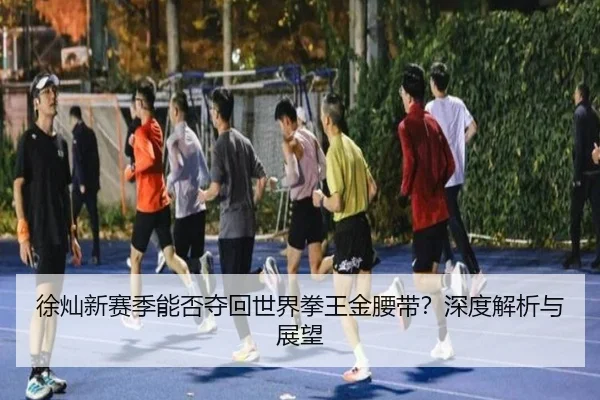 徐灿新赛季能否夺回世界拳王金腰带？深度解析与展望
